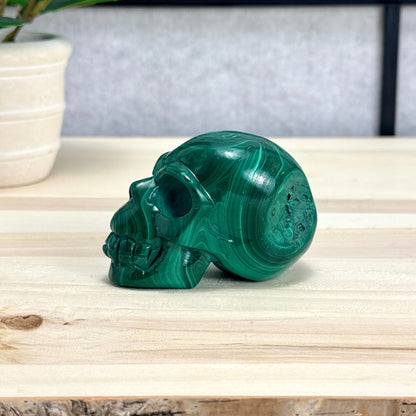 Malachite Skull Carving, 3.17 in. - Itsy's Crystal Cove LLC