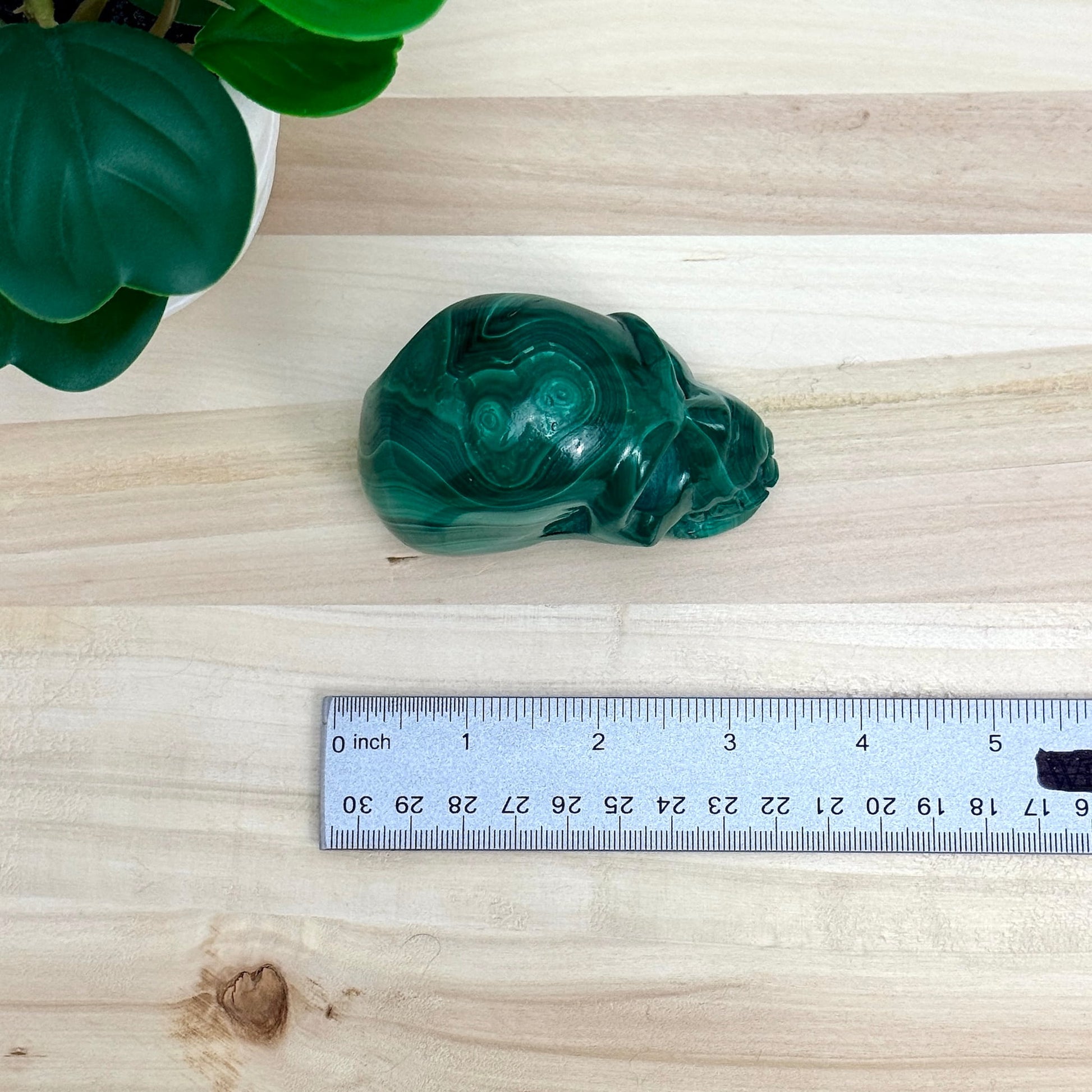 Malachite Skull Carving, 3.17 in. - Itsy's Crystal Cove LLC