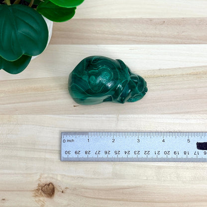 Malachite Skull Carving, 3.17 in. - Itsy's Crystal Cove LLC