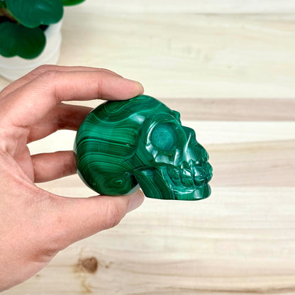 Malachite Skull Carving, 3.17 in. - Itsy's Crystal Cove LLC