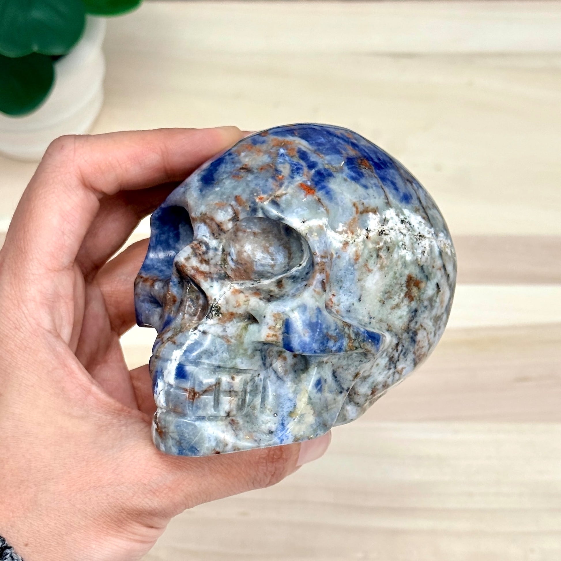 Sodalite Skull Carving, 4.11 in. - Itsy's Crystal Cove LLC