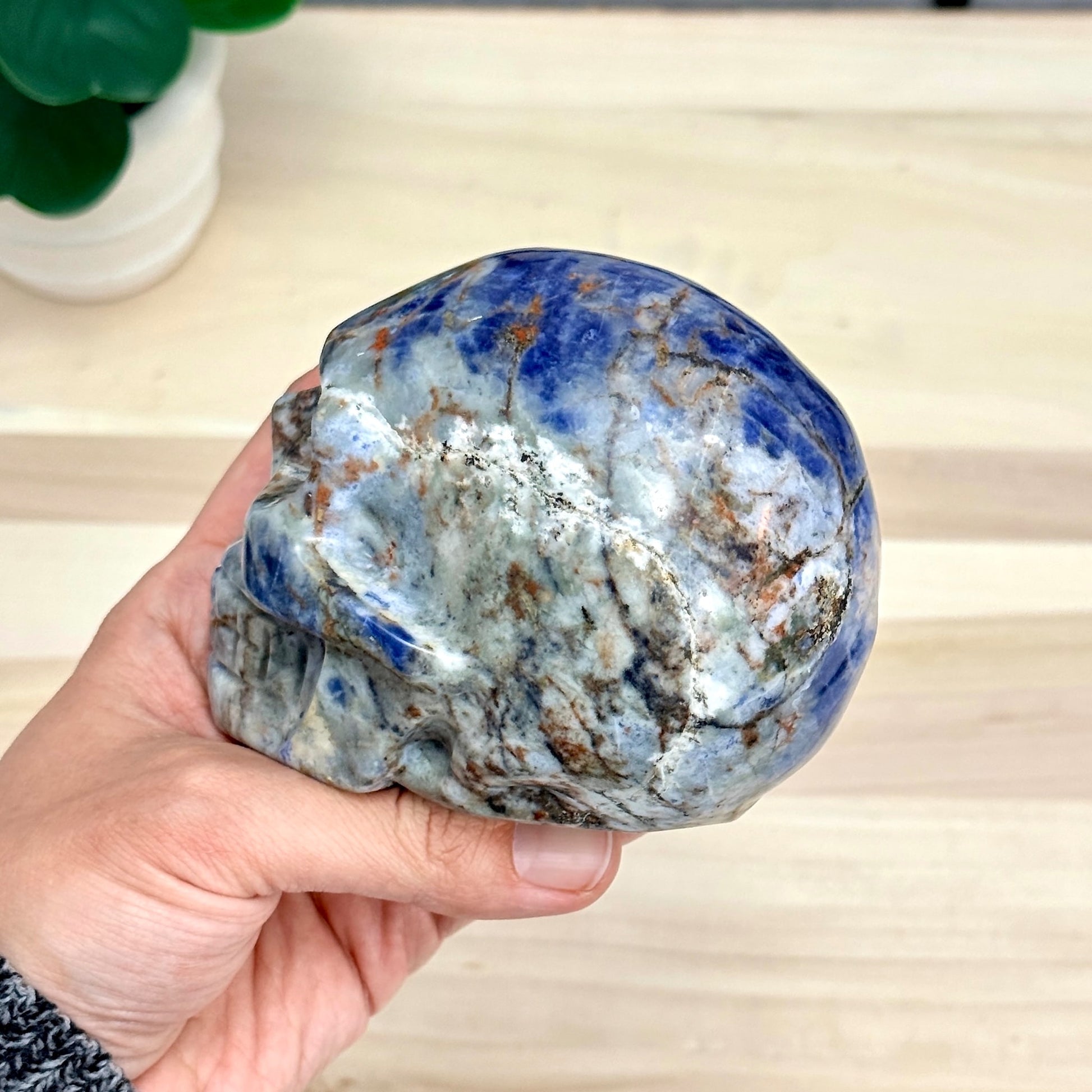 Sodalite Skull Carving, 4.11 in. - Itsy's Crystal Cove LLC