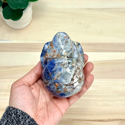 Sodalite Skull Carving, 4.11 in. - Itsy's Crystal Cove LLC