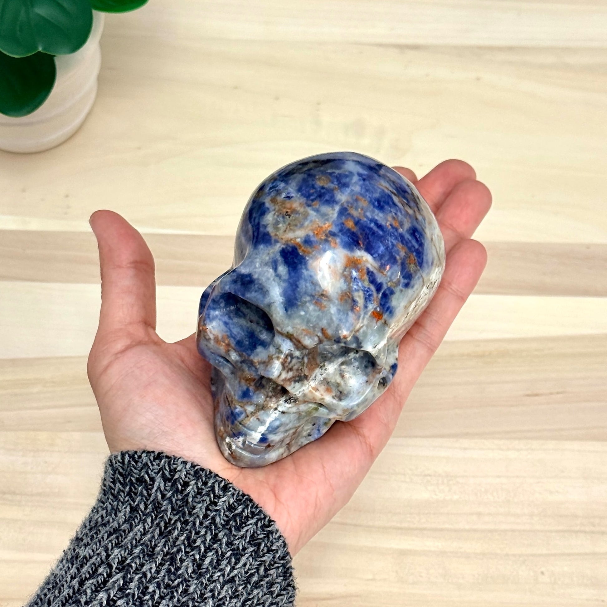 Sodalite Skull Carving, 4.11 in. - Itsy's Crystal Cove LLC