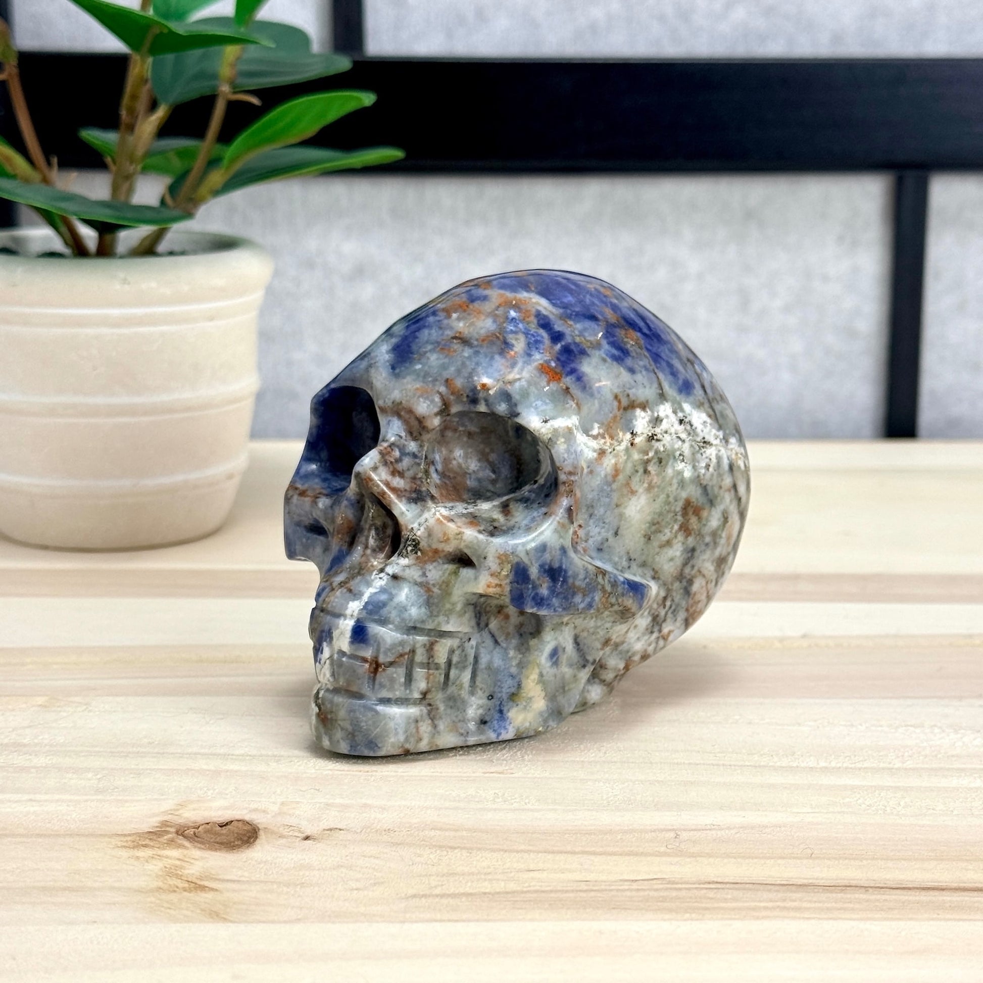 Sodalite Skull Carving, 4.11 in. - Itsy's Crystal Cove LLC