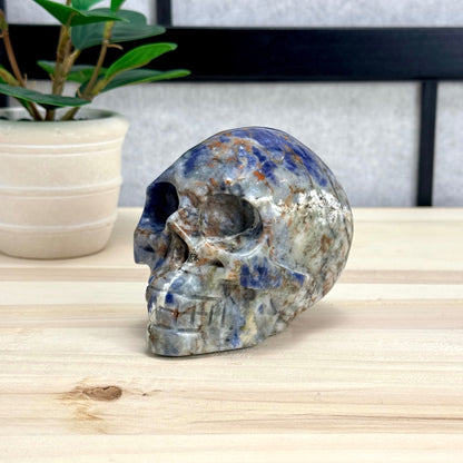 Sodalite Skull Carving, 4.11 in. - Itsy's Crystal Cove LLC