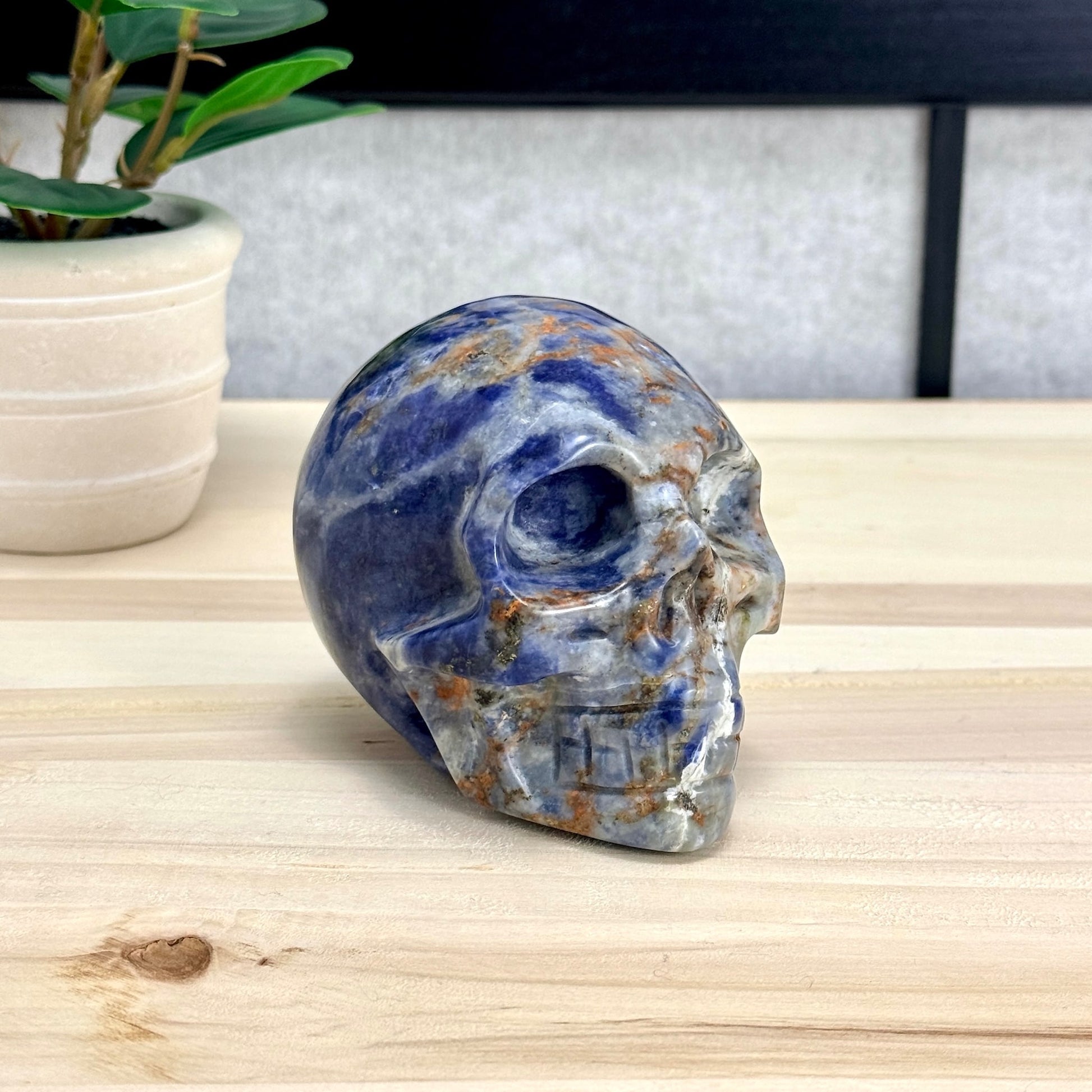 Sodalite Skull Carving, 4.11 in. - Itsy's Crystal Cove LLC