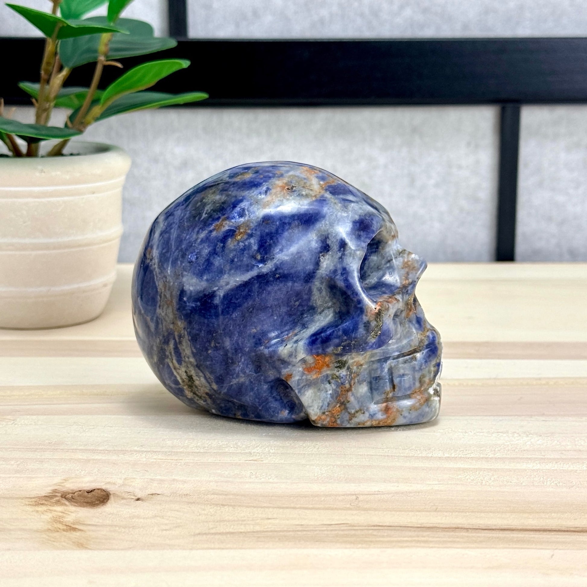 Sodalite Skull Carving, 4.11 in. - Itsy's Crystal Cove LLC