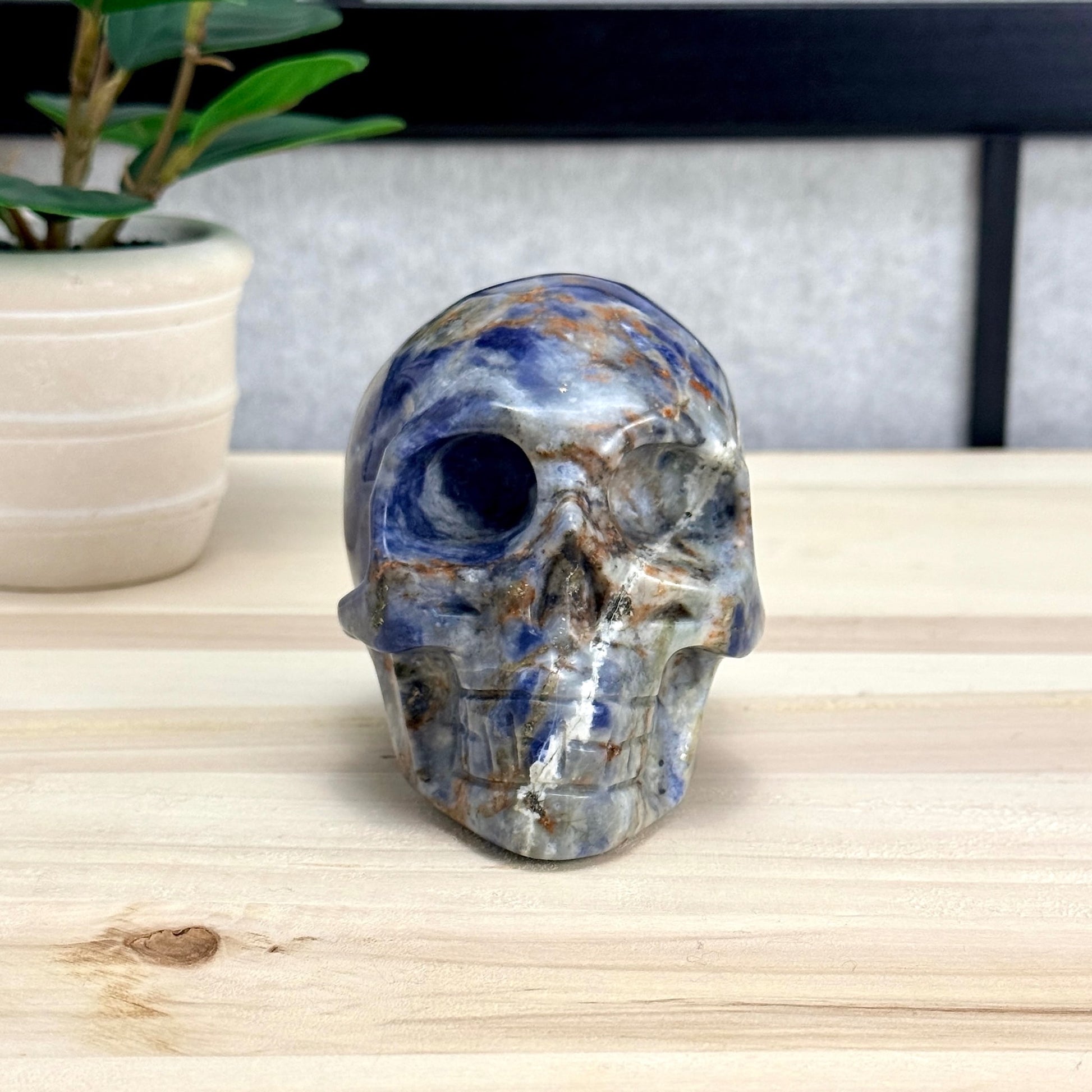 Sodalite Skull Carving, 4.11 in. - Itsy's Crystal Cove LLC