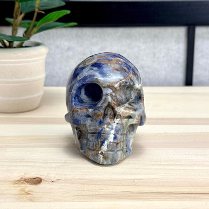 Sodalite Skull Carving, 4.11 in. - Itsy's Crystal Cove LLC
