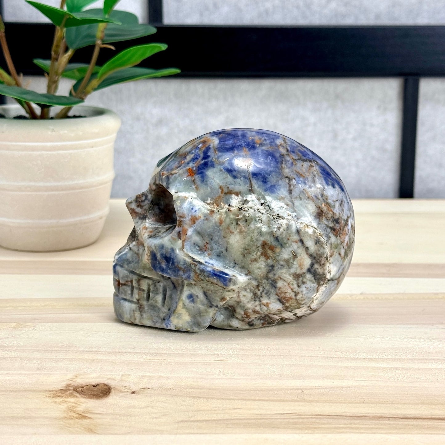 Sodalite Skull Carving, 4.11 in. - Itsy's Crystal Cove LLC