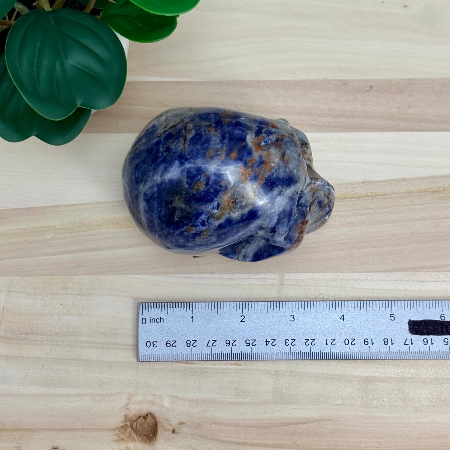 Sodalite Skull Carving, 4.11 in. - Itsy's Crystal Cove LLC