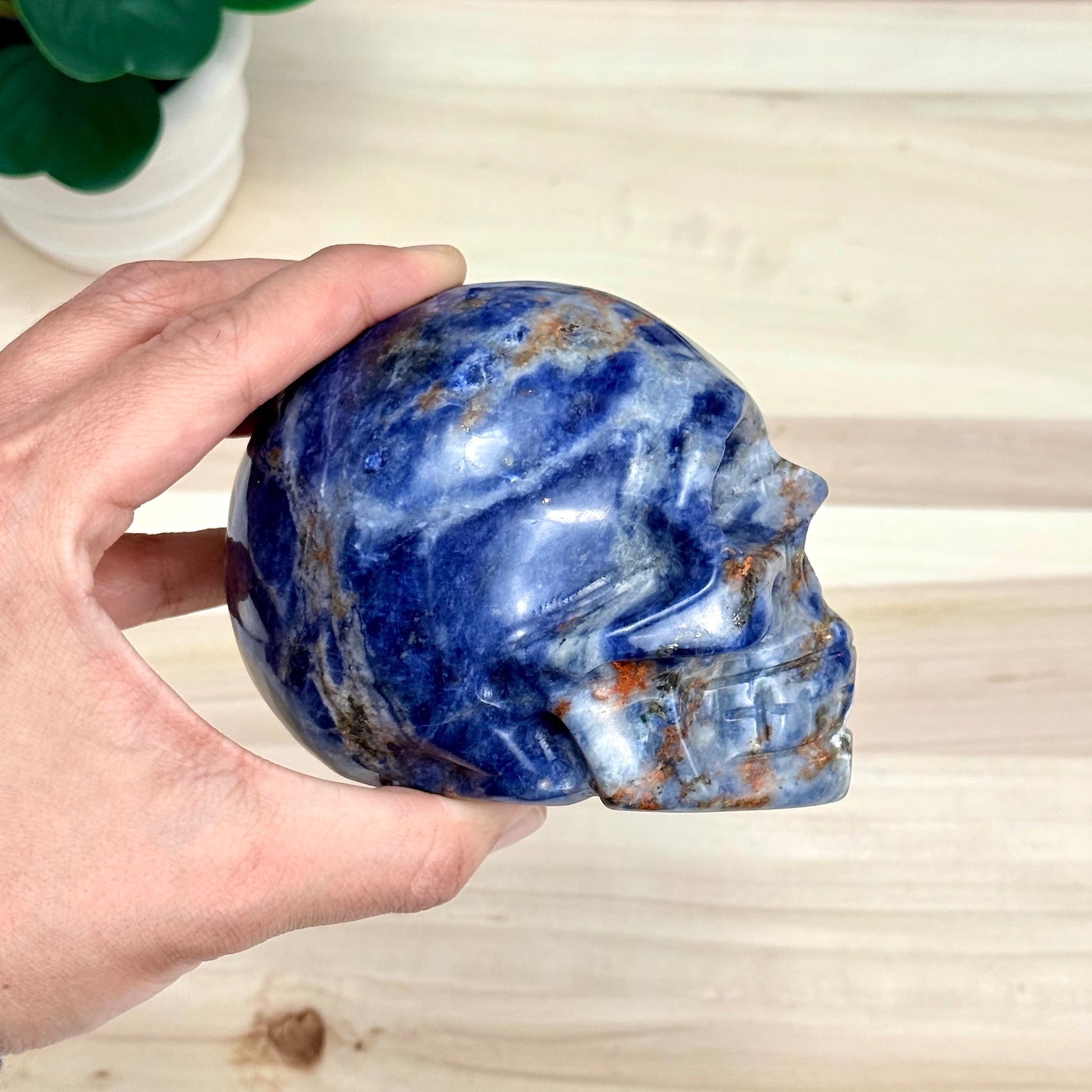 Sodalite Skull Carving, 4.11 in. - Itsy's Crystal Cove LLC