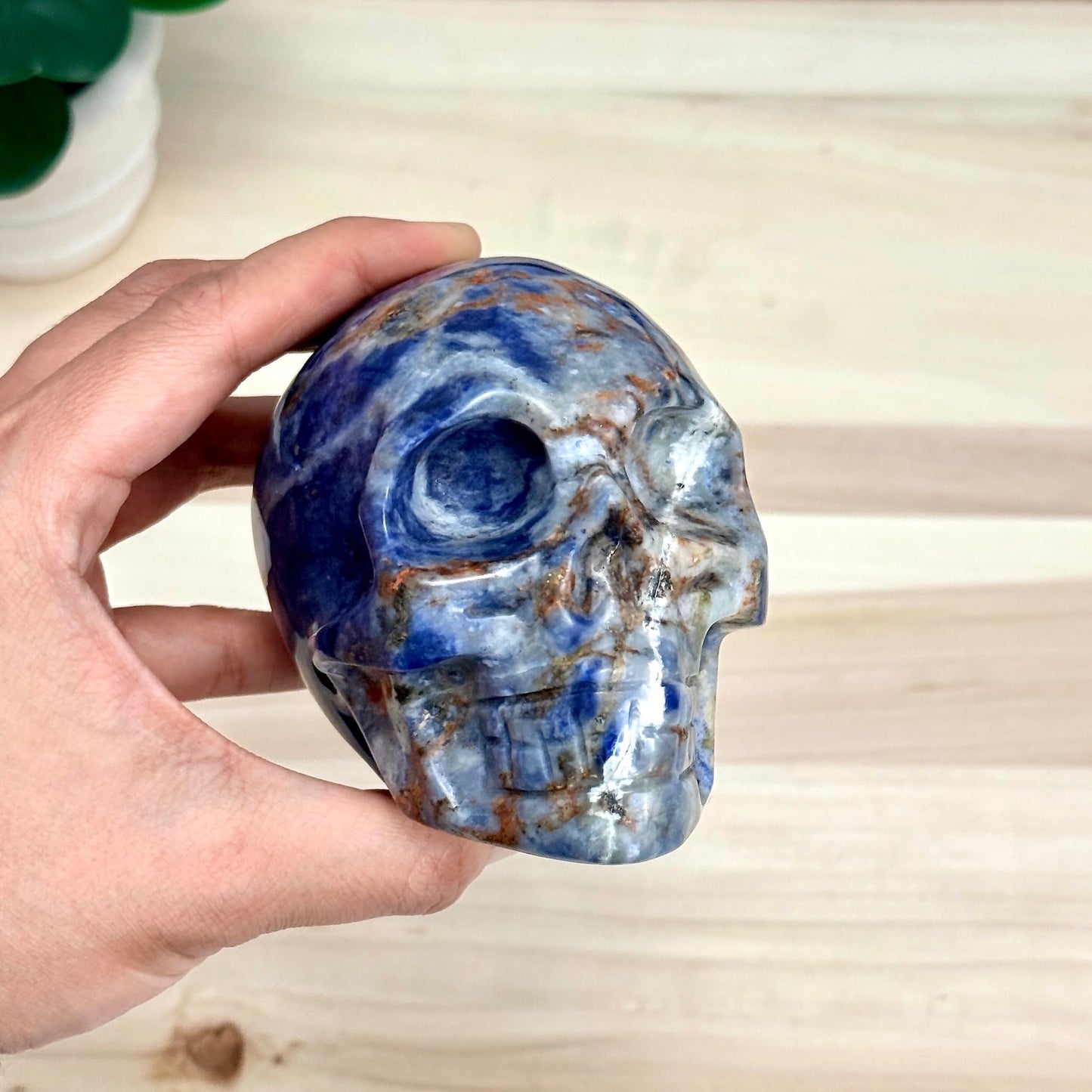 Sodalite Skull Carving, 4.11 in. - Itsy's Crystal Cove LLC