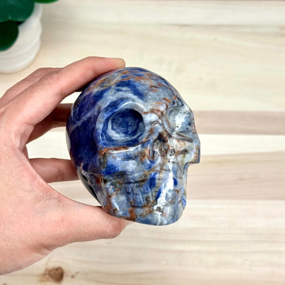 Sodalite Skull Carving, 4.11 in. - Itsy's Crystal Cove LLC