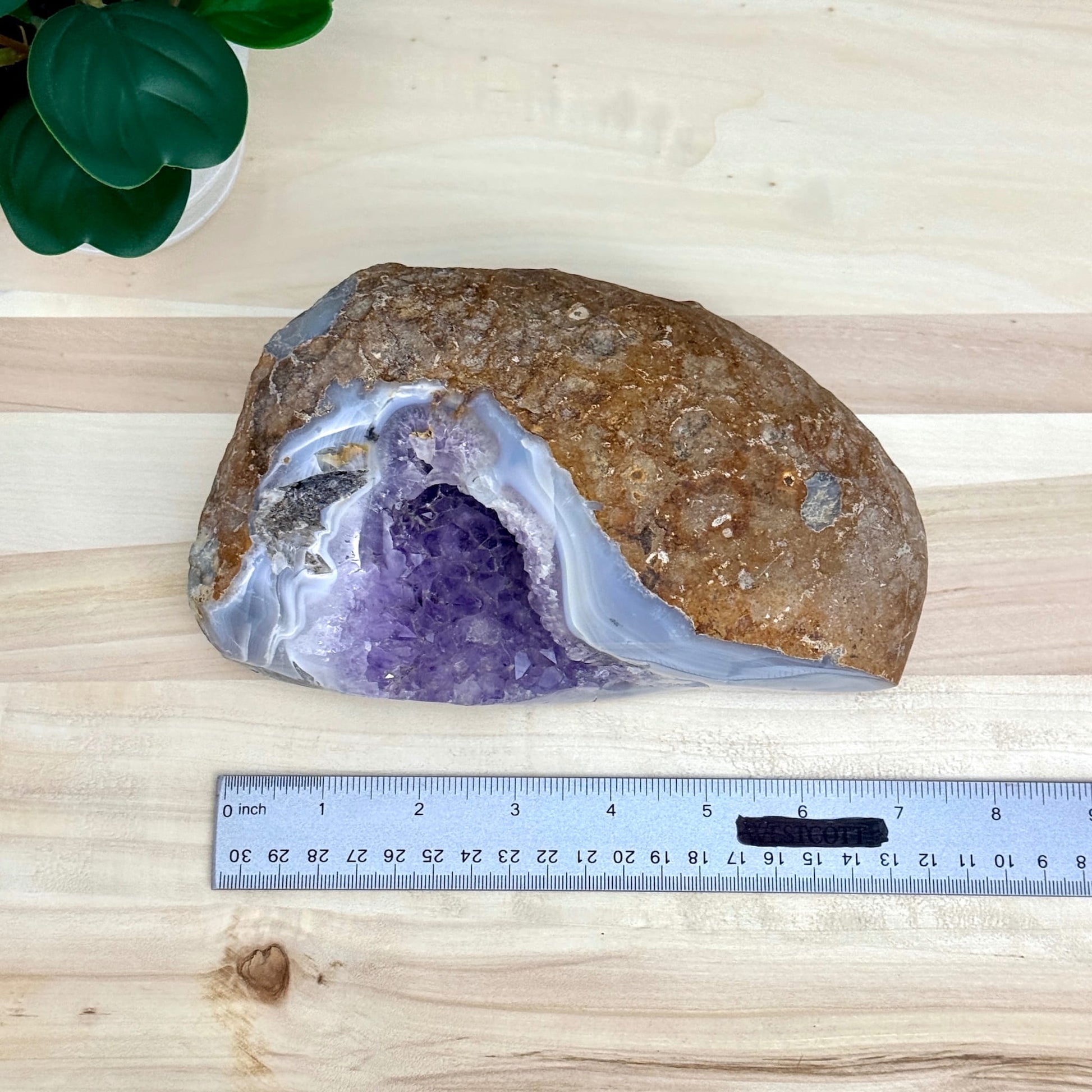 Amethyst in Agate Geode, 5 lbs. - Itsy's Crystal Cove LLC