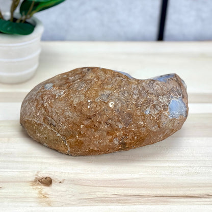 Amethyst in Agate Geode, 5 lbs. - Itsy's Crystal Cove LLC