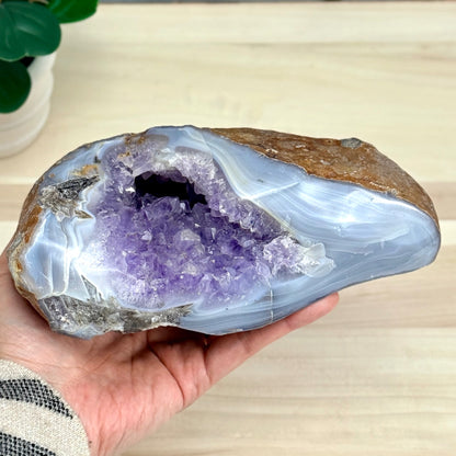 Amethyst in Agate Geode, 5 lbs. - Itsy's Crystal Cove LLC