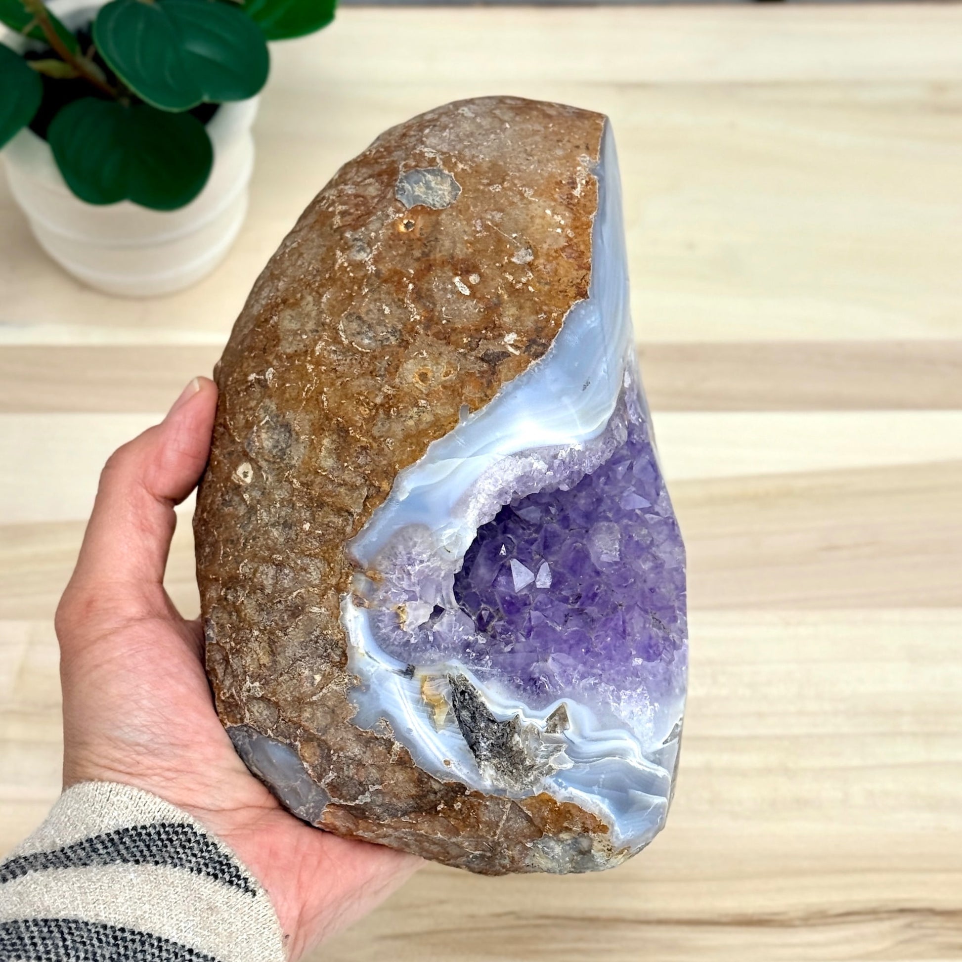 Amethyst in Agate Geode, 5 lbs. - Itsy's Crystal Cove LLC