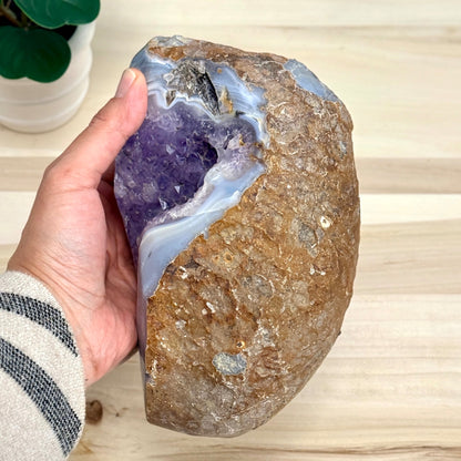 Amethyst in Agate Geode, 5 lbs. - Itsy's Crystal Cove LLC